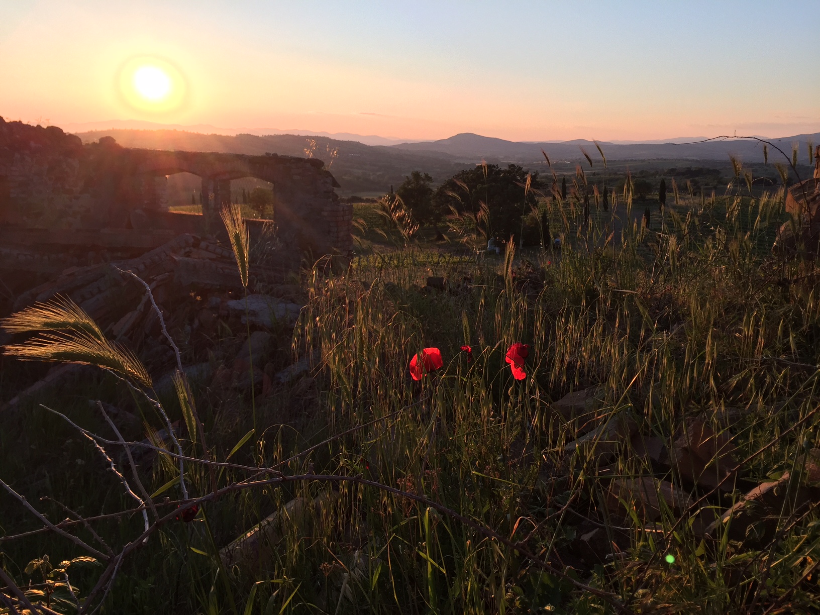 TERRA NERA Tuscany