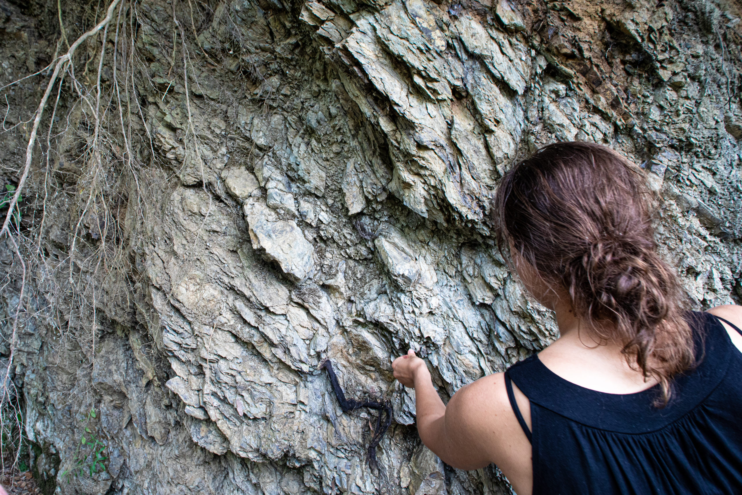 Terra Nera Shooting toscana