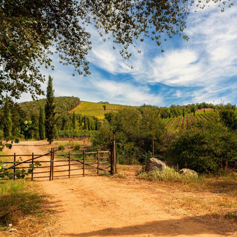 Terra Nera Tuscany